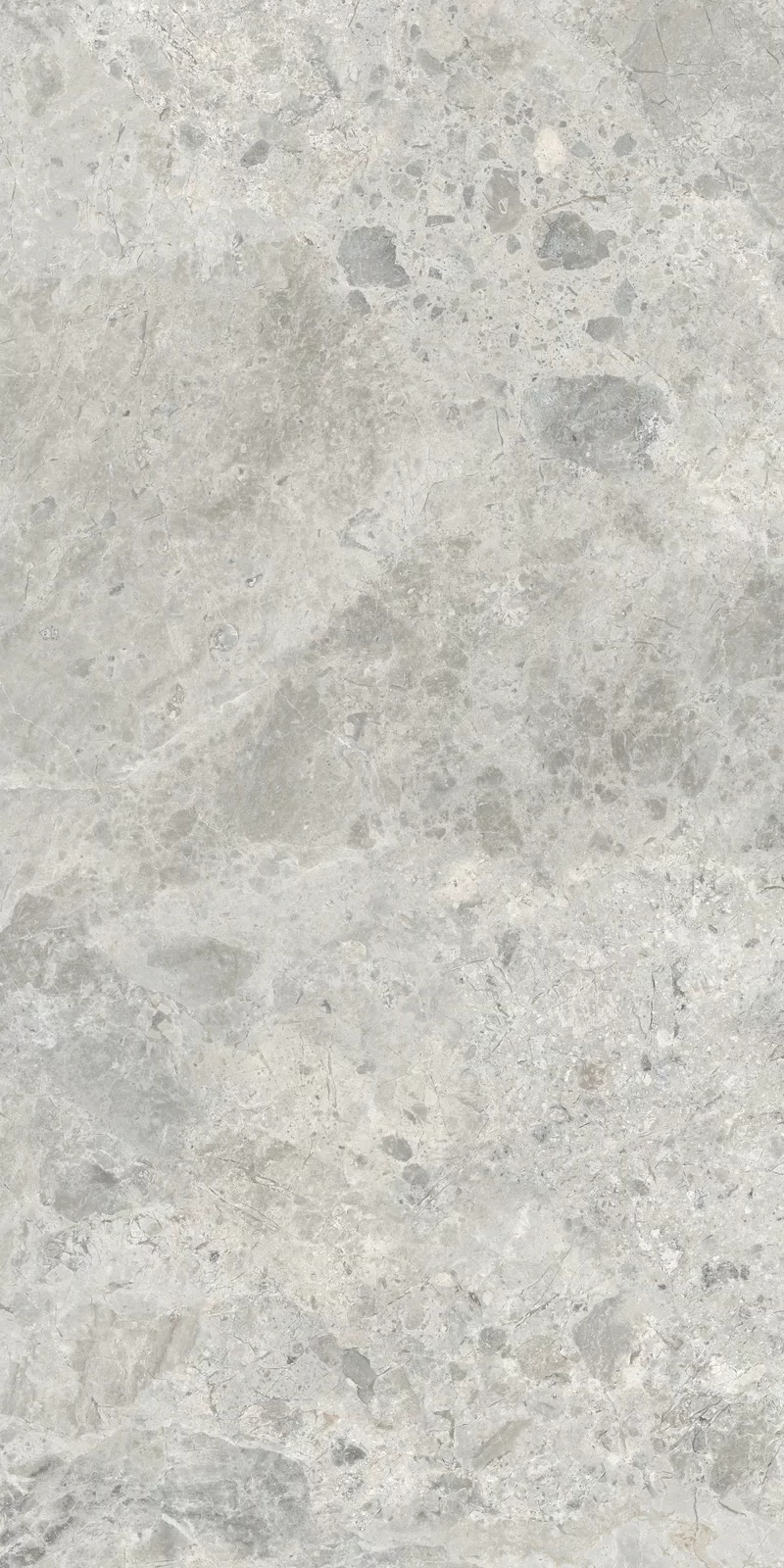 OUT.20 ERA BLOOMING ASH 60X120 _01