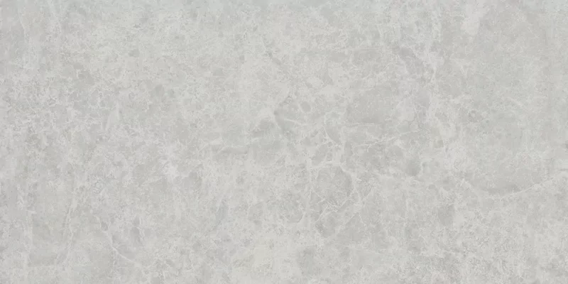 ERA DELICATE ASH 60X120_12