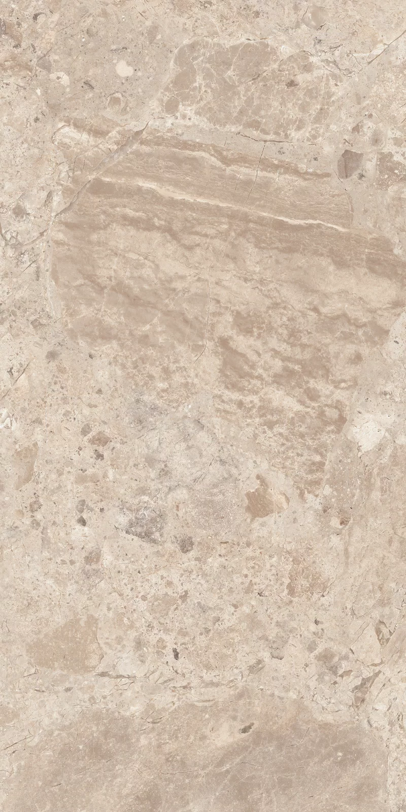 OUT.20 ERA BLOOMING TAUPE 60X120 _06