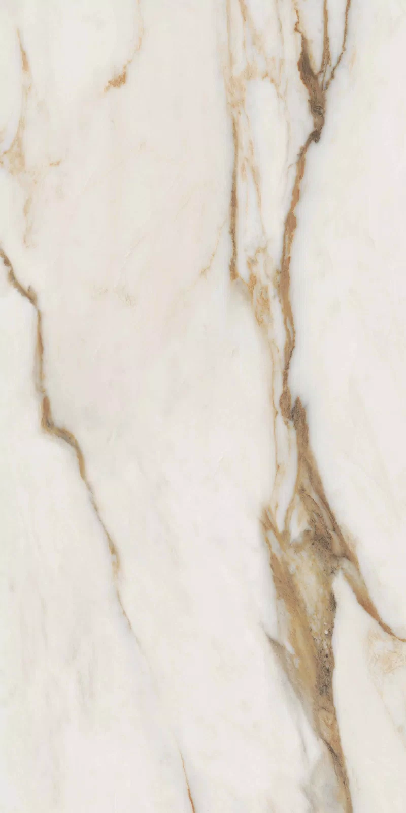 NOBILE CALACATTA 60X120_08