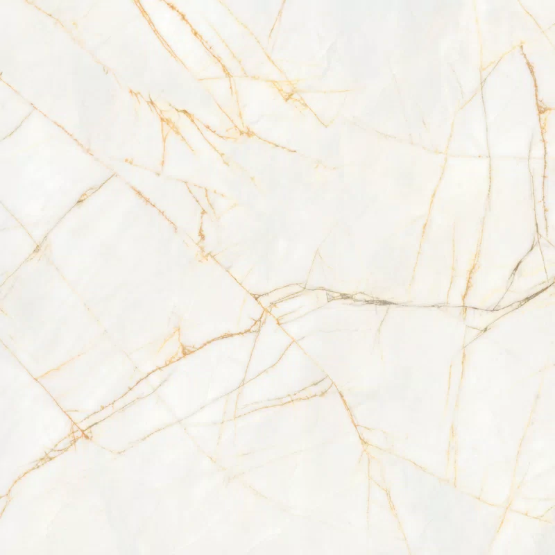SUPREME HEDONISM GOLDEN SPIDER 120X120_06