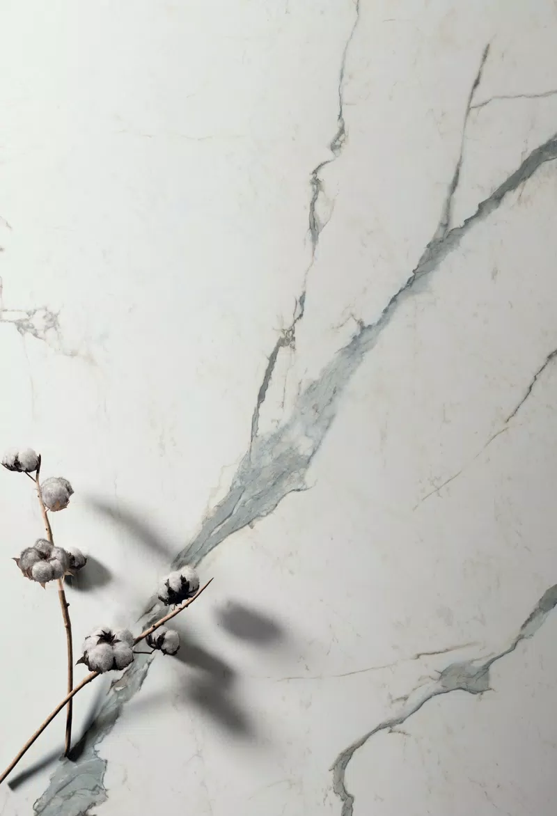 SUPREME EVO STATUARIO SUPERIOR 120X120