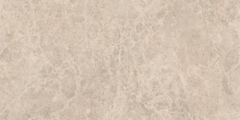 ERA DELICATE TAUPE 60X120_04