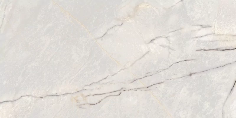 SUPREME TREASURE GREYLAC PLATINUM 60X120_09