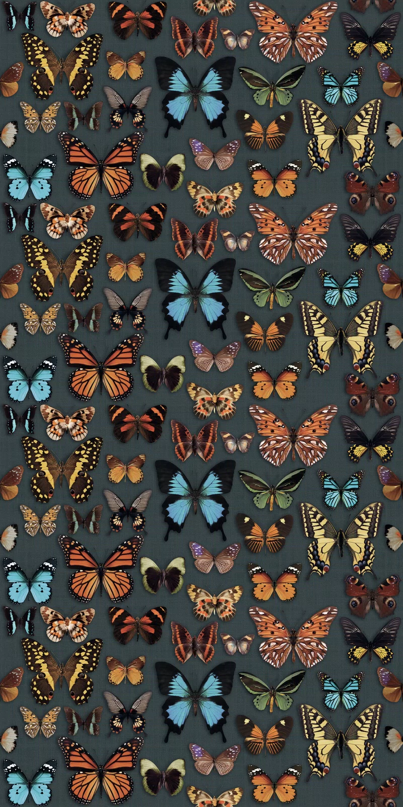 160X320 · Natürlich