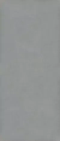 Piastrella effetto contemporaneo Grigio della collezione I Pigmenti di Gardenia&Ariana, formato 120x280, finitura Naturale, bordo Rettificato.