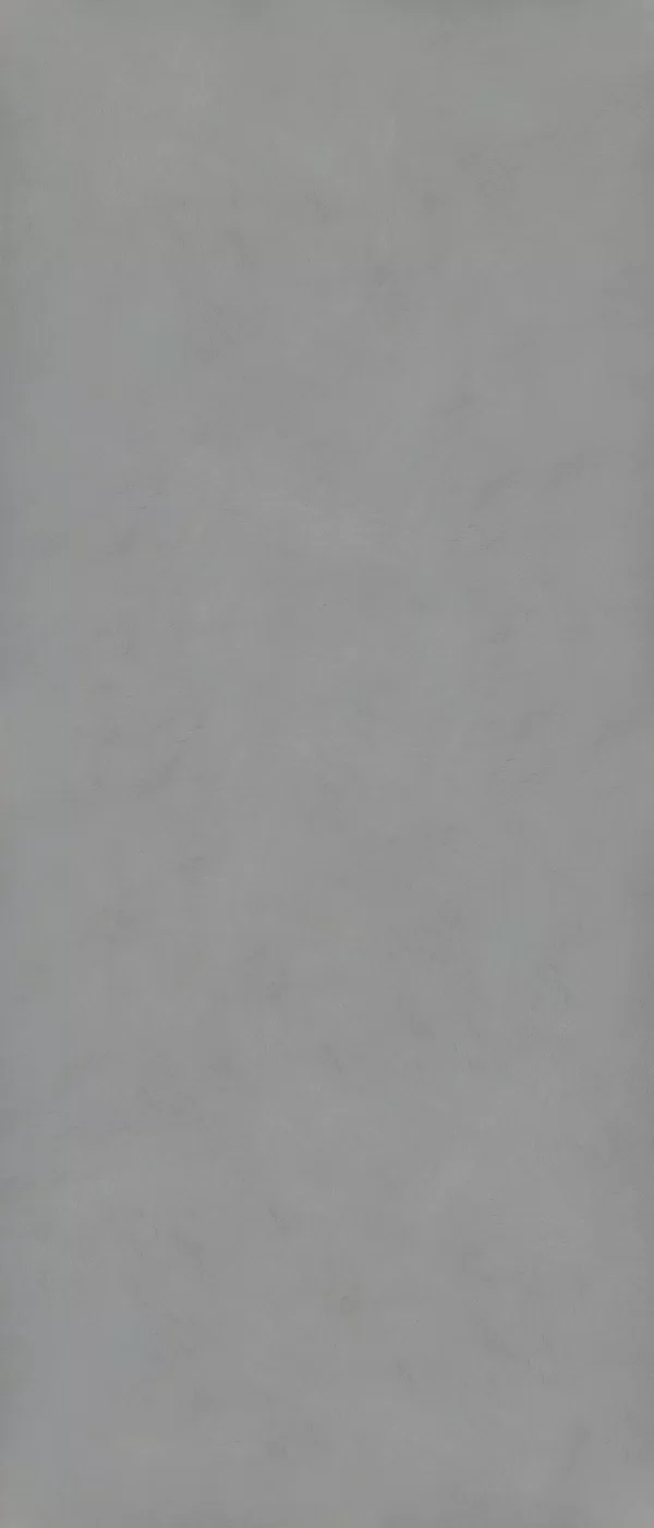 Piastrella effetto contemporaneo Grigio della collezione I Pigmenti di Gardenia&Ariana, formato 120x280, finitura Naturale, bordo Rettificato.