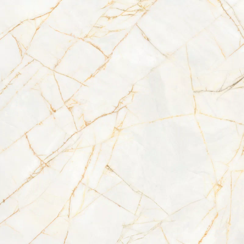 SUPREME HEDONISM GOLDEN SPIDER 120X120_08