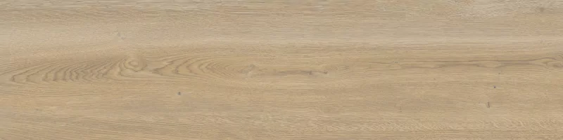 OUT.20 POETRY WOOD GOLD 30X120_14