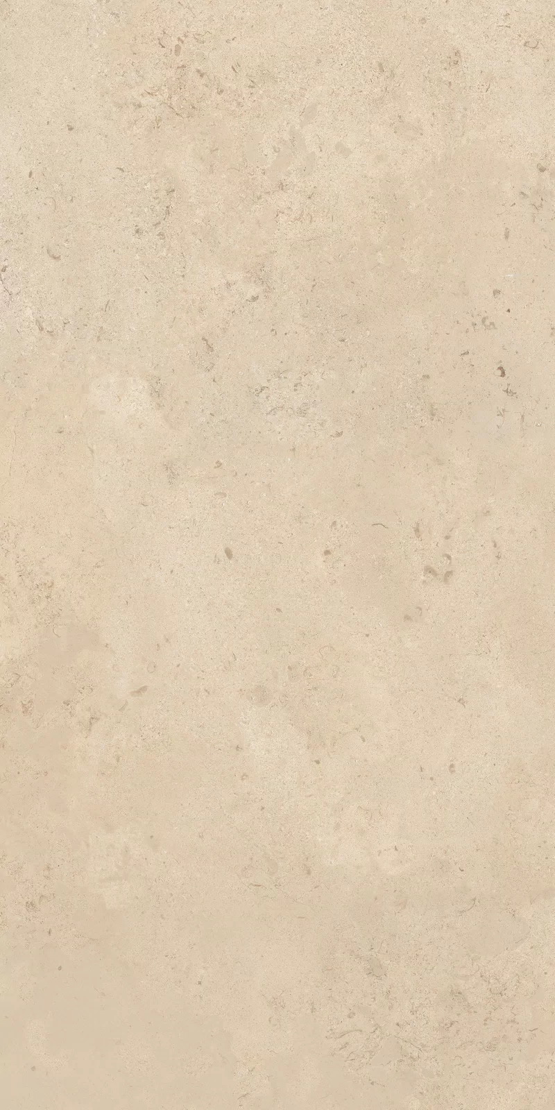 OUT.20 CAMARGUE BEIGE 60X120_17