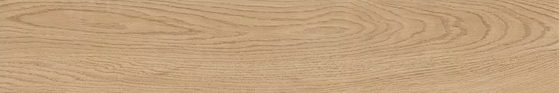FOUR SEASONS HONEY 20X120_23