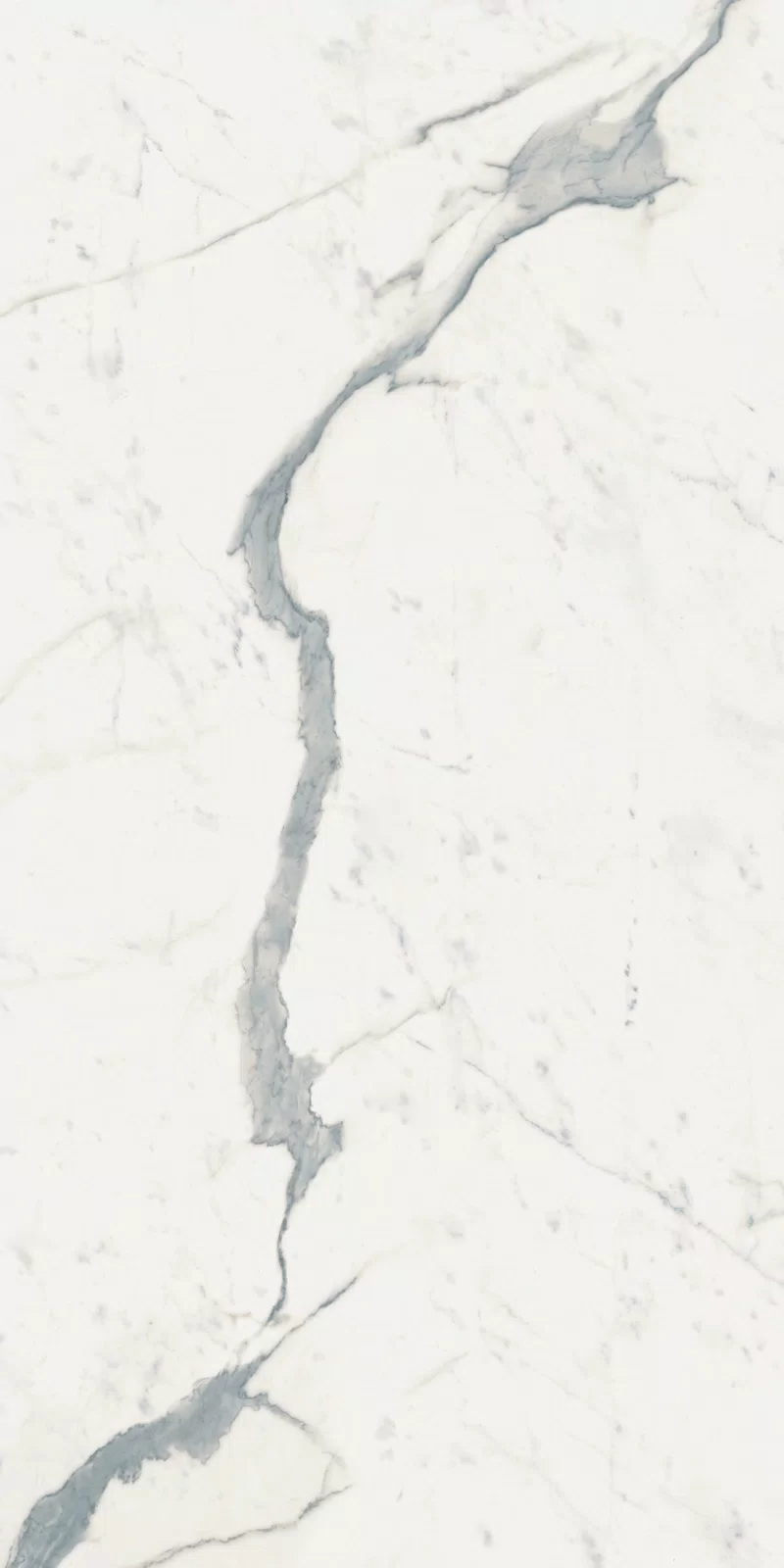 STATUARIO SUPERIOR_60x120_11