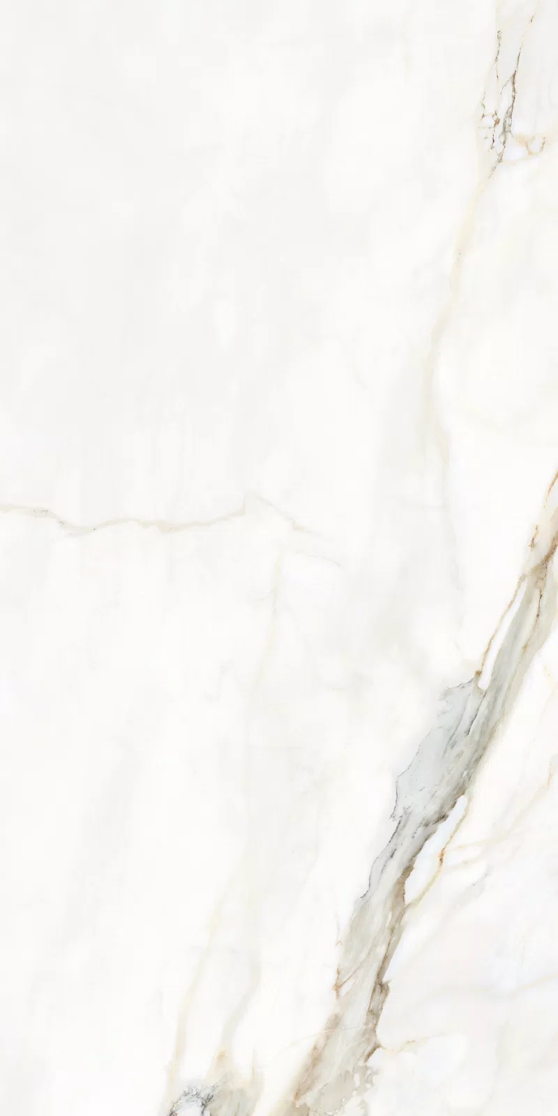 LA MARMOTECA_CALACATTA ELEGANCE_60X120_14