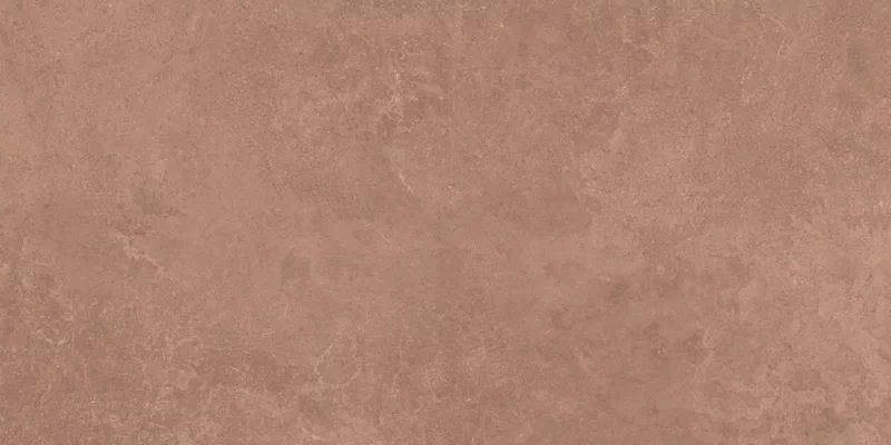 MIDI NATURE TERRE 60X120_12