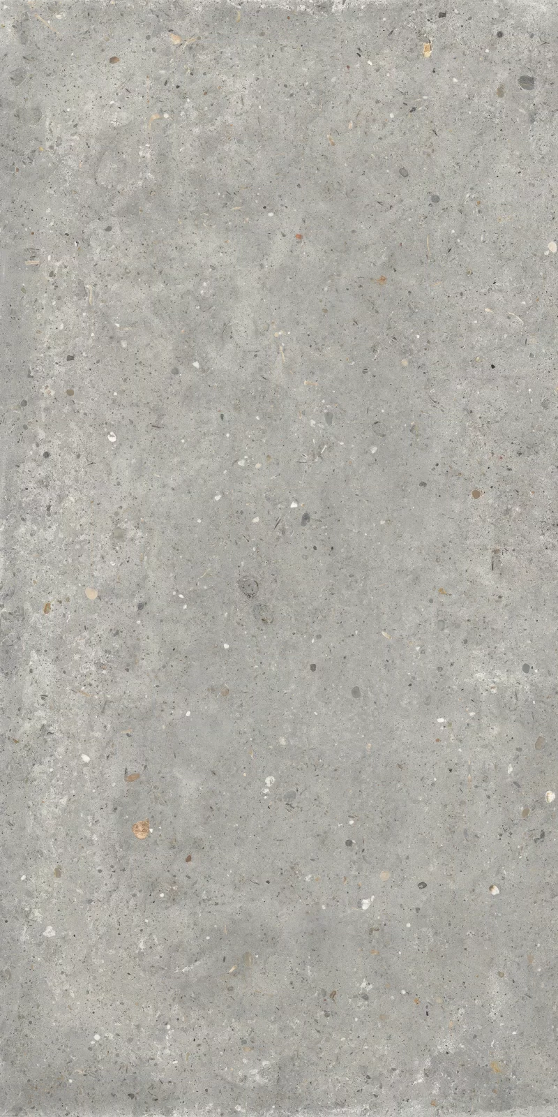ANIMA GRIGIO 60X120_09