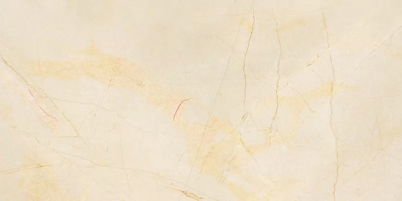 60X120 · Nat P.tech