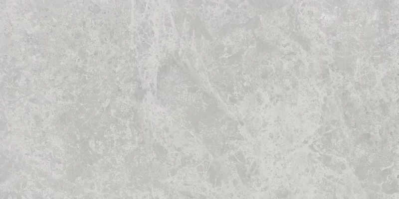 ERA DELICATE ASH 30X60_01