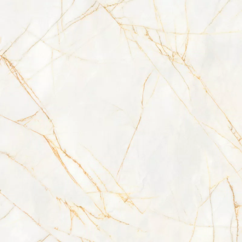 SUPREME HEDONISM GOLDEN SPIDER 120X120_05