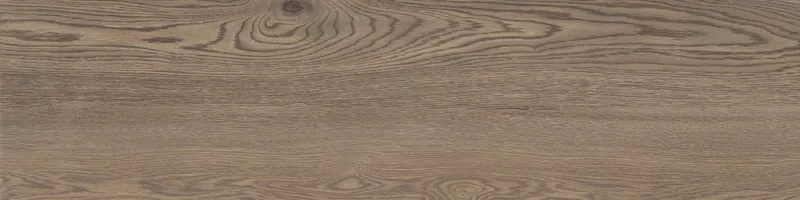 POETRY WOOD OAK 30X120_20