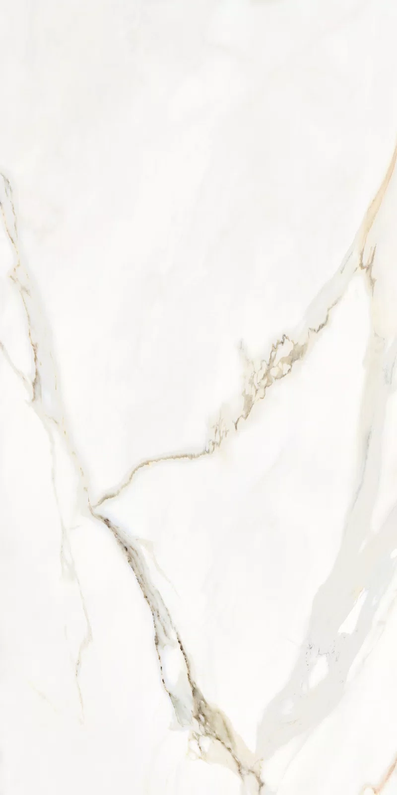MARMOTECA_CALACATTA ELEGANCE_60X120_9