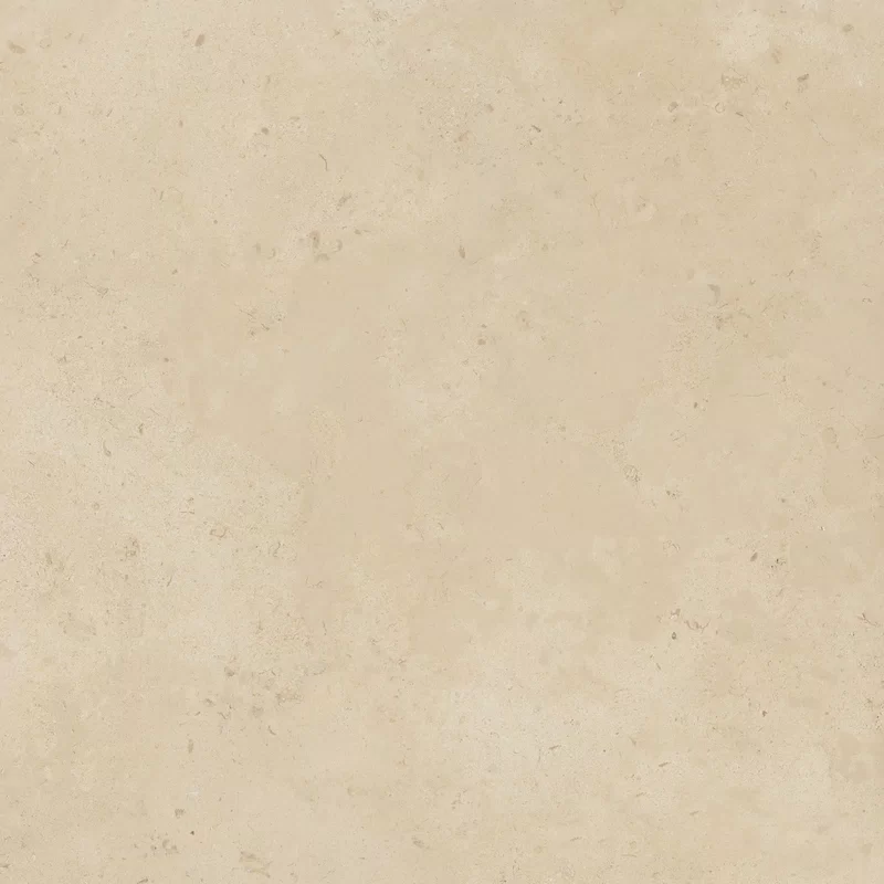 X20 CAMARGUE BEIGE 80X80_12
