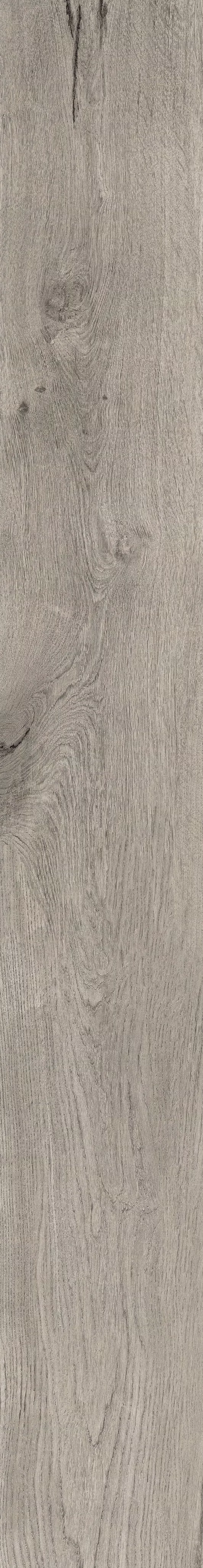 BARK