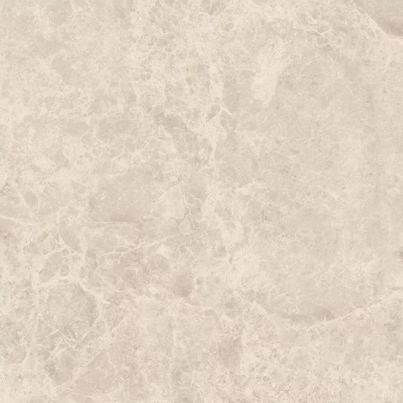ERA DELICATE BEIGE 60X60_09