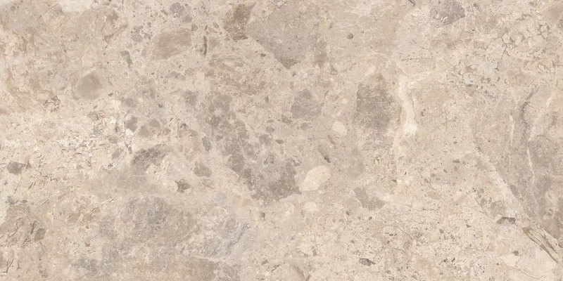 ERA BLOOMING TAUPE 60X120_03