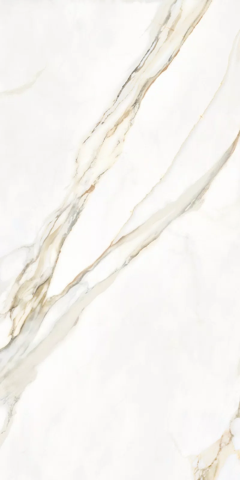 LA MARMOTECA_CALACATTA ELEGANCE_60X120_2