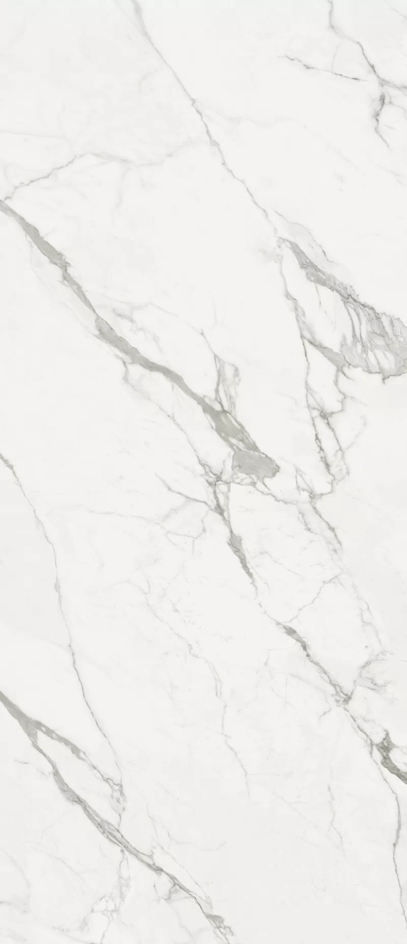 MARMOTECA_STATUARIO PREMIUM_120x280_4