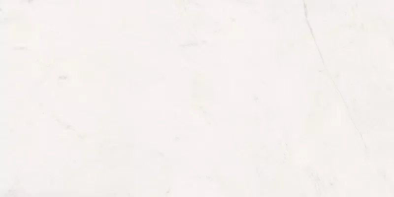 SENSI WHITE RHINO 60X120_17