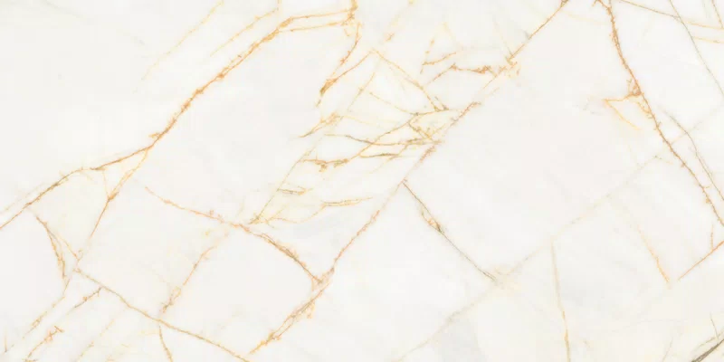 SUPREME HEDONISM GOLDEN SPIDER 60X120_16