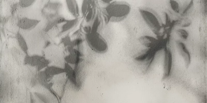 ART WALLS SHADOW 60X120_14