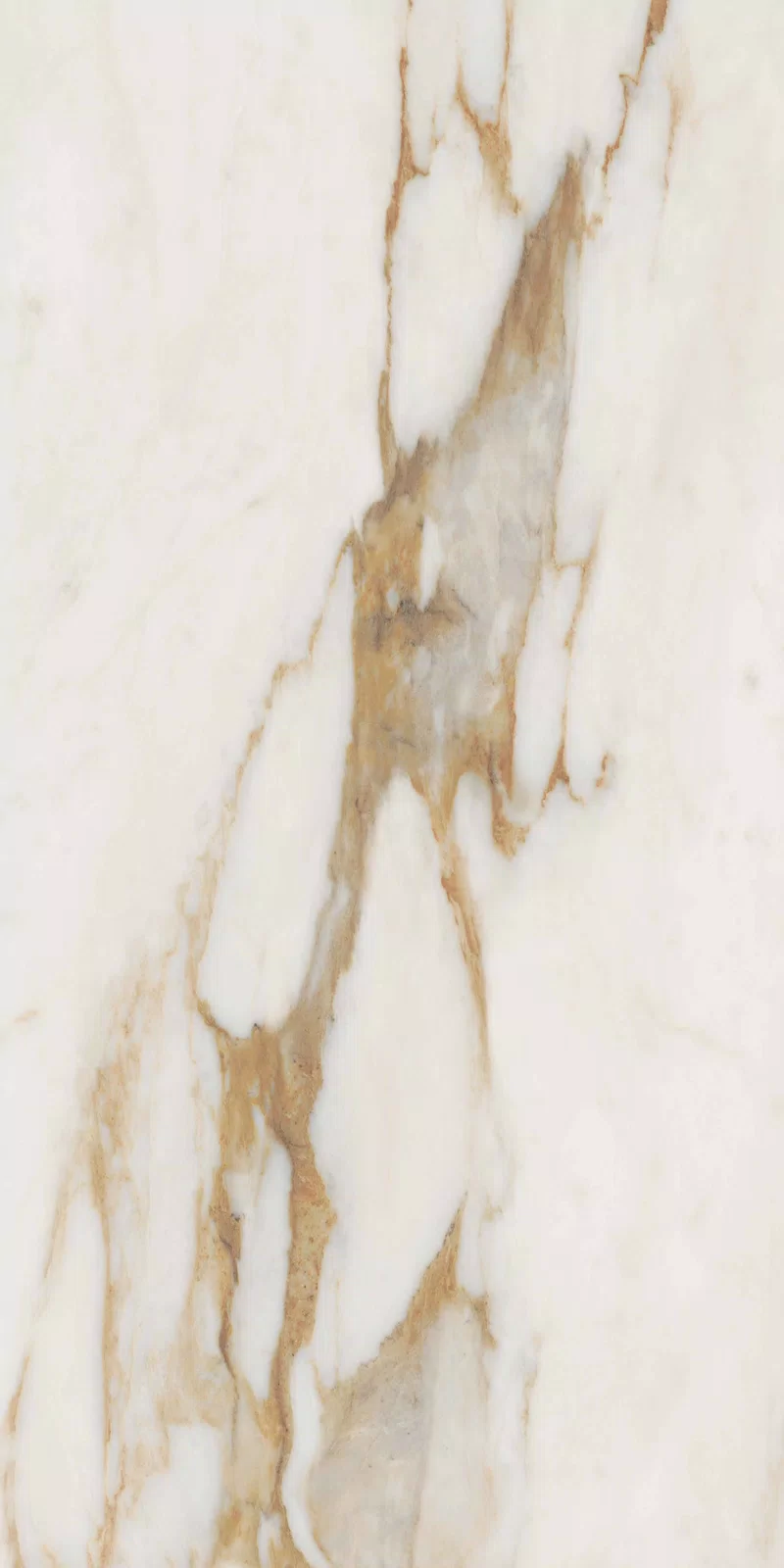 NOBILE CALACATTA 60X120_10
