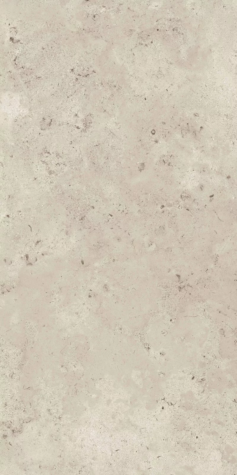 MEMENTO CAMARGUE IVORY 60X120_16