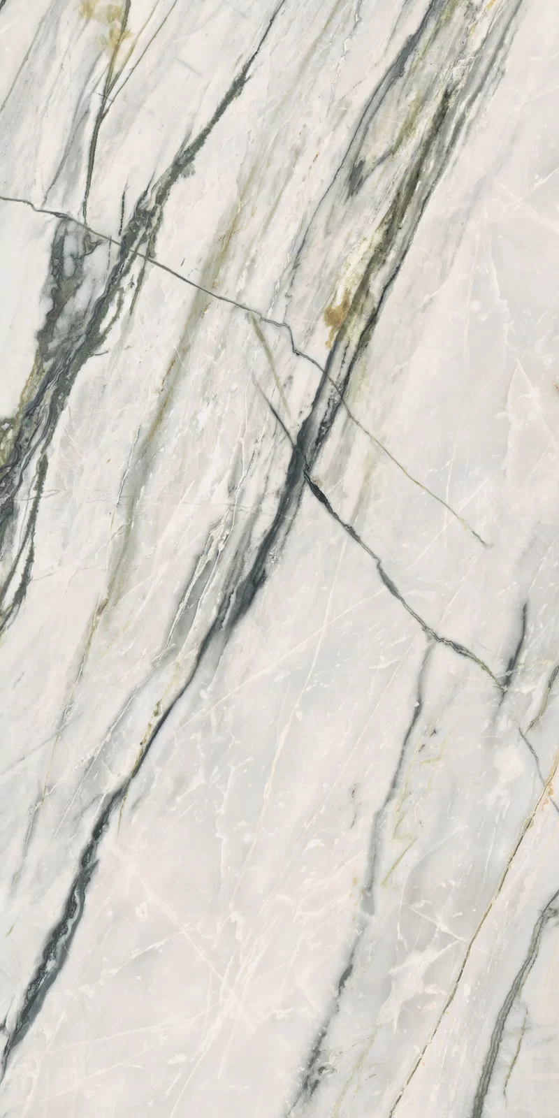 EPOQUE 21 CALACATTA BAMBOO 60X120_11
