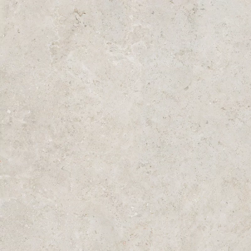 OROSEI BONE 60x60_05