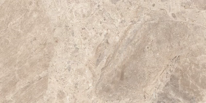 ERA BLOOMING TAUPE 60X120_13