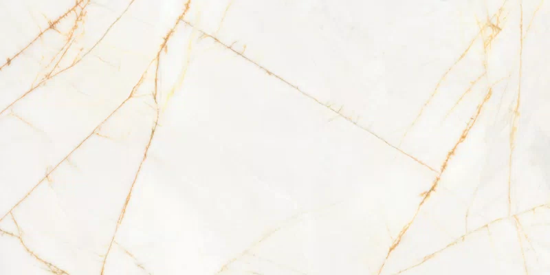 SUPREME HEDONISM GOLDEN SPIDER 60X120_10