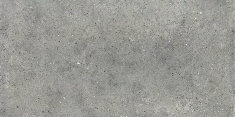 POETRY STONE PIRENEI GREY 60X120_09