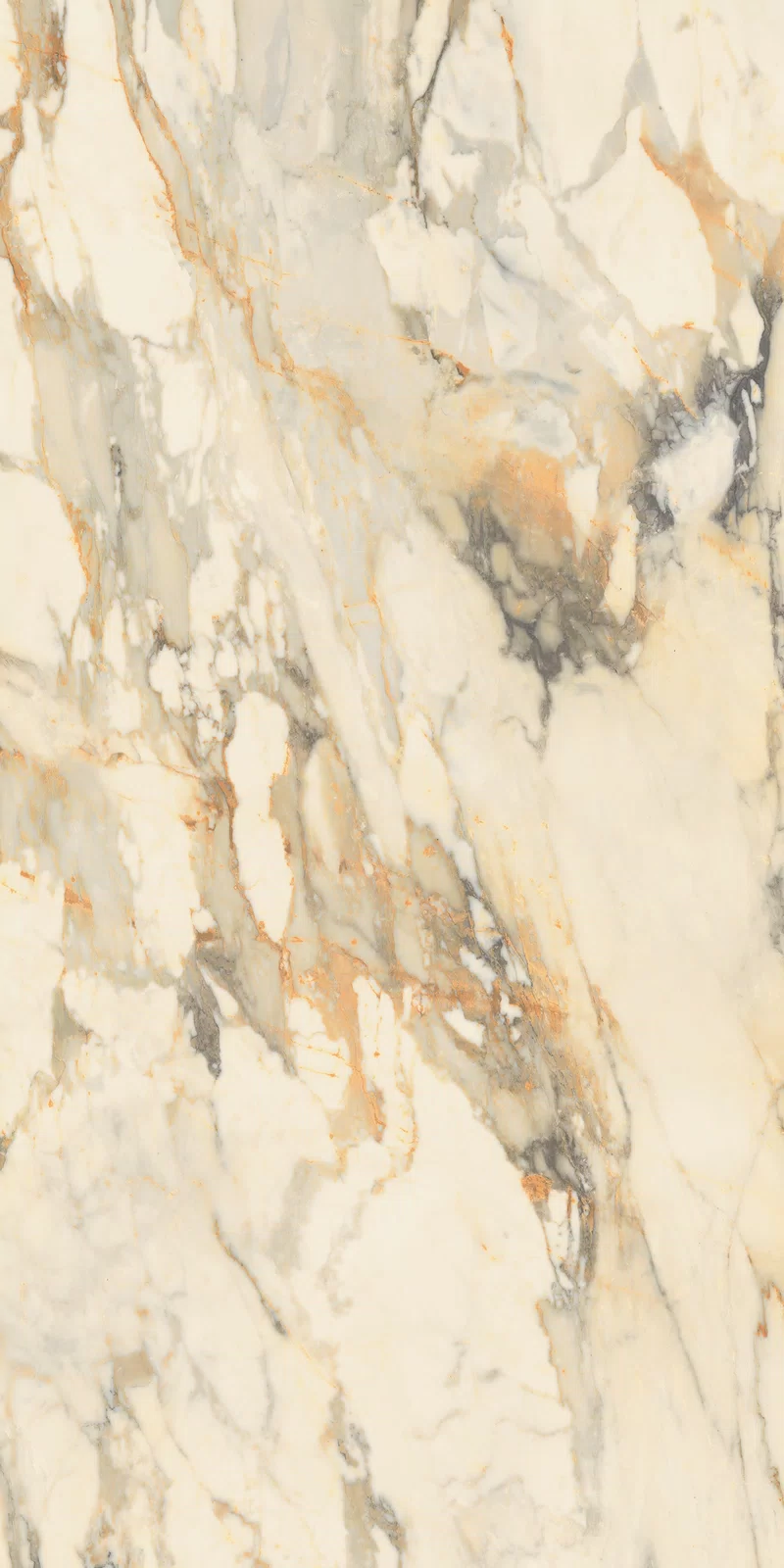 LA MARMOTECA_ANTIQUE BROWN_60x120_07