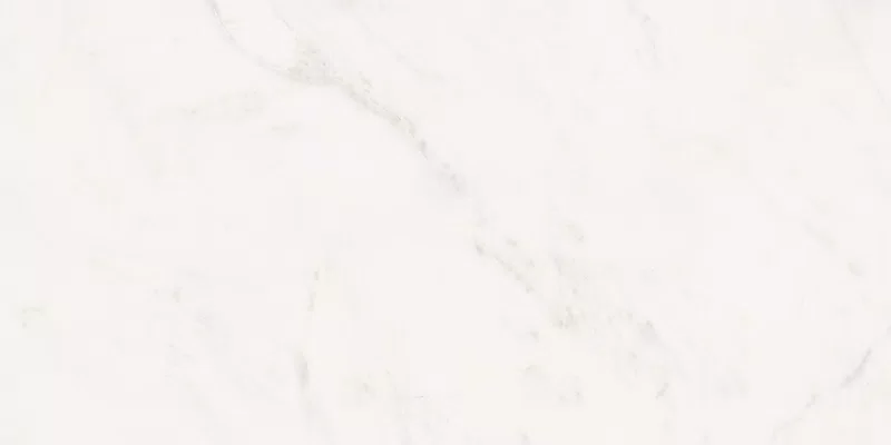 SENSI WHITE RHINO 60X120_16