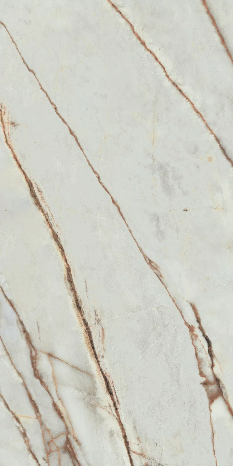 LA MARMOTECA_GREY WONDER 60X120_1