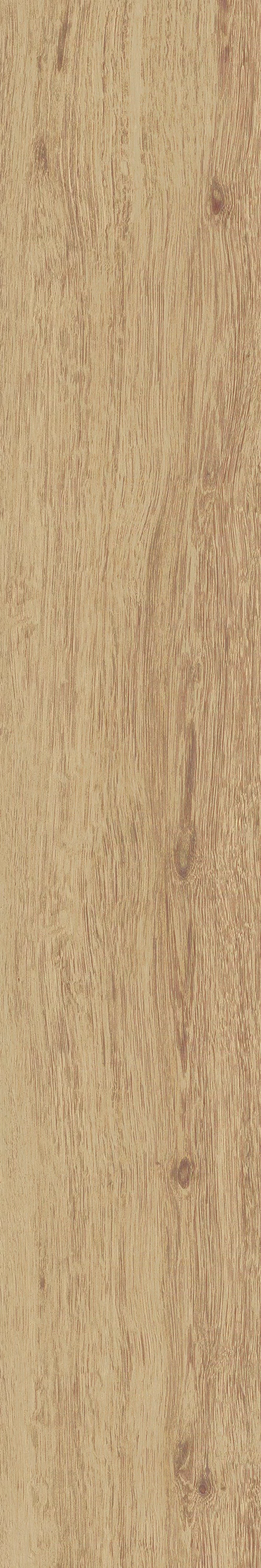 JUST NATURE_BEIGE_MEDIO_20x120_2