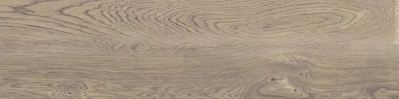POETRY WOOD OAK 30X120_18