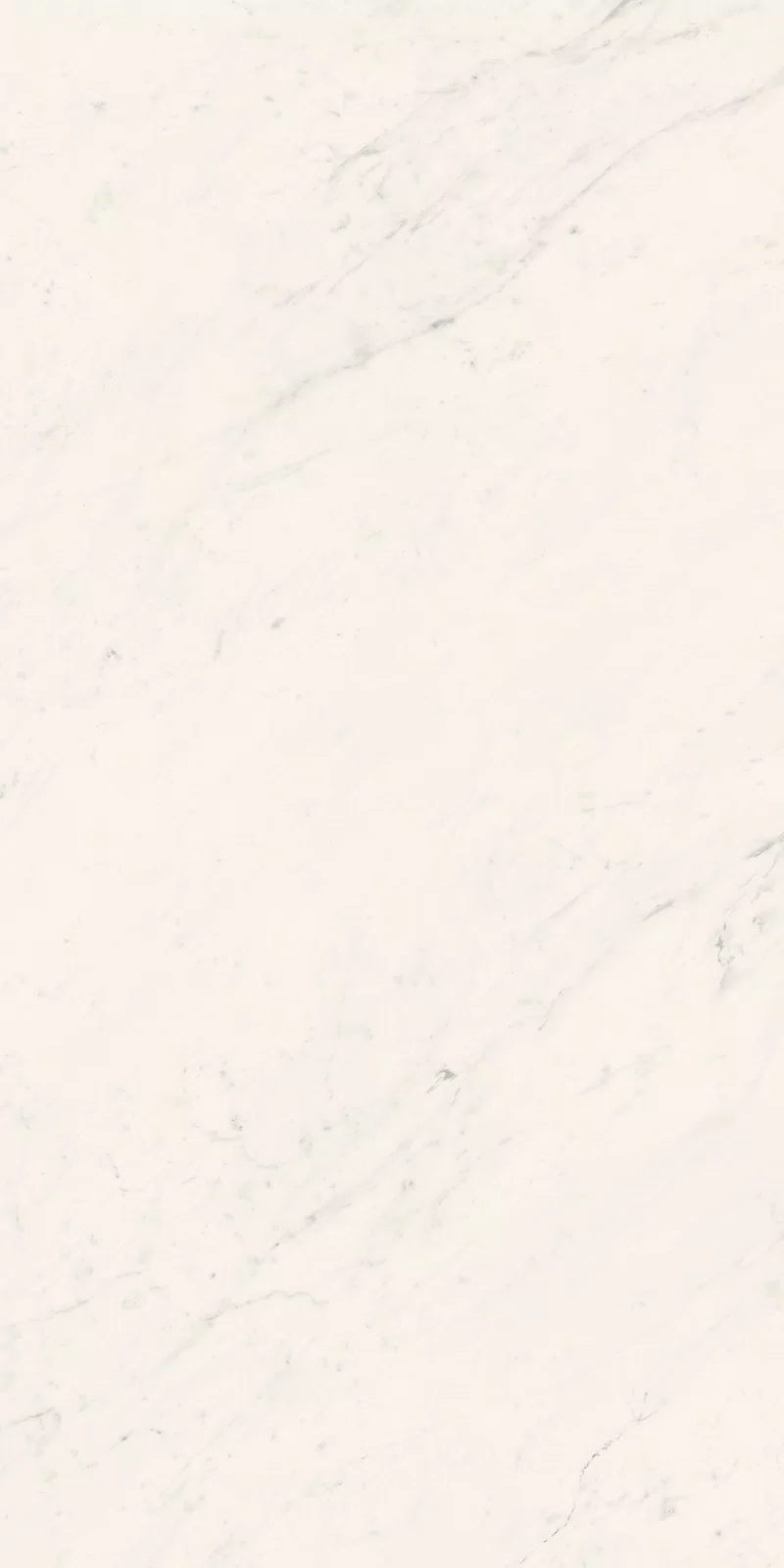 LA MARMOTECA_SAHARA WHITE_60X120_6