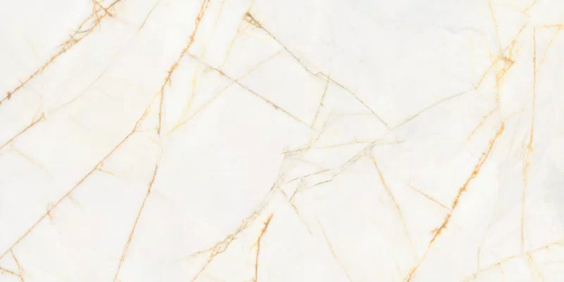 SUPREME HEDONISM GOLDEN SPIDER 60X120_09