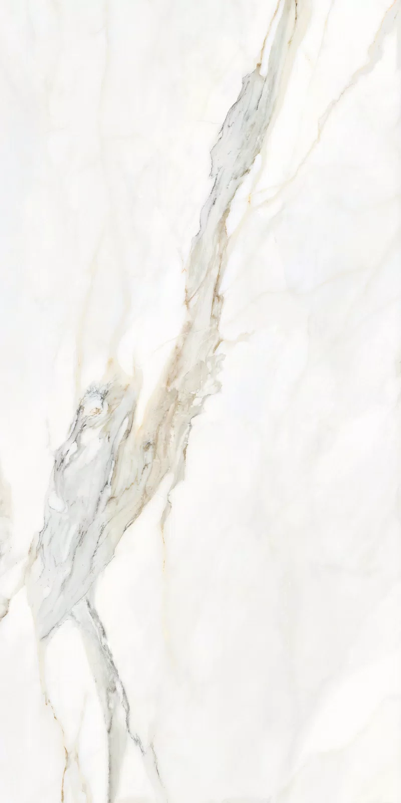 MARMOTECA_CALACATTA ELEGANCE_60X120_4