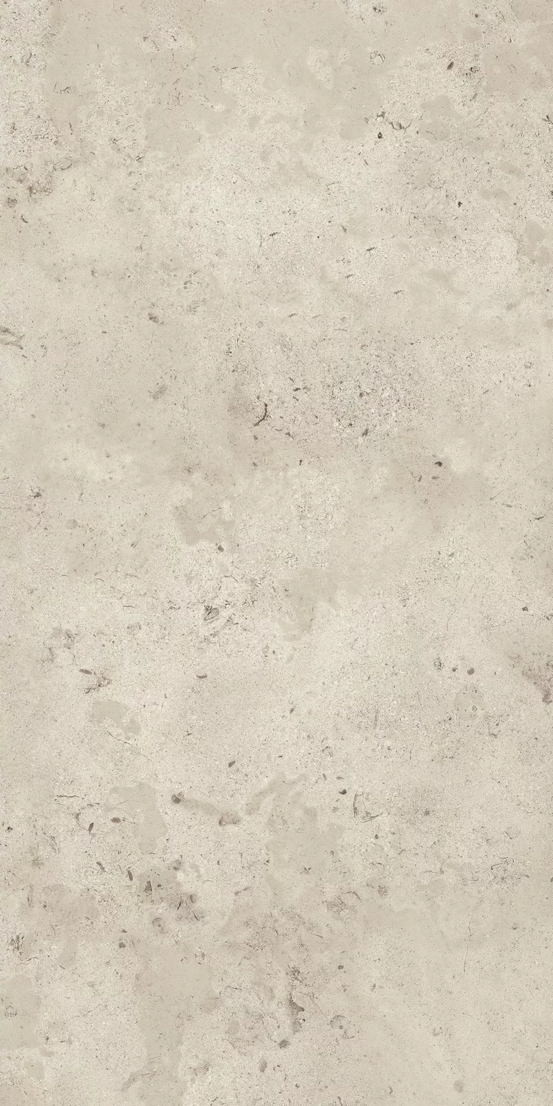 X20 CAMARGUE IVORY 60X120_18