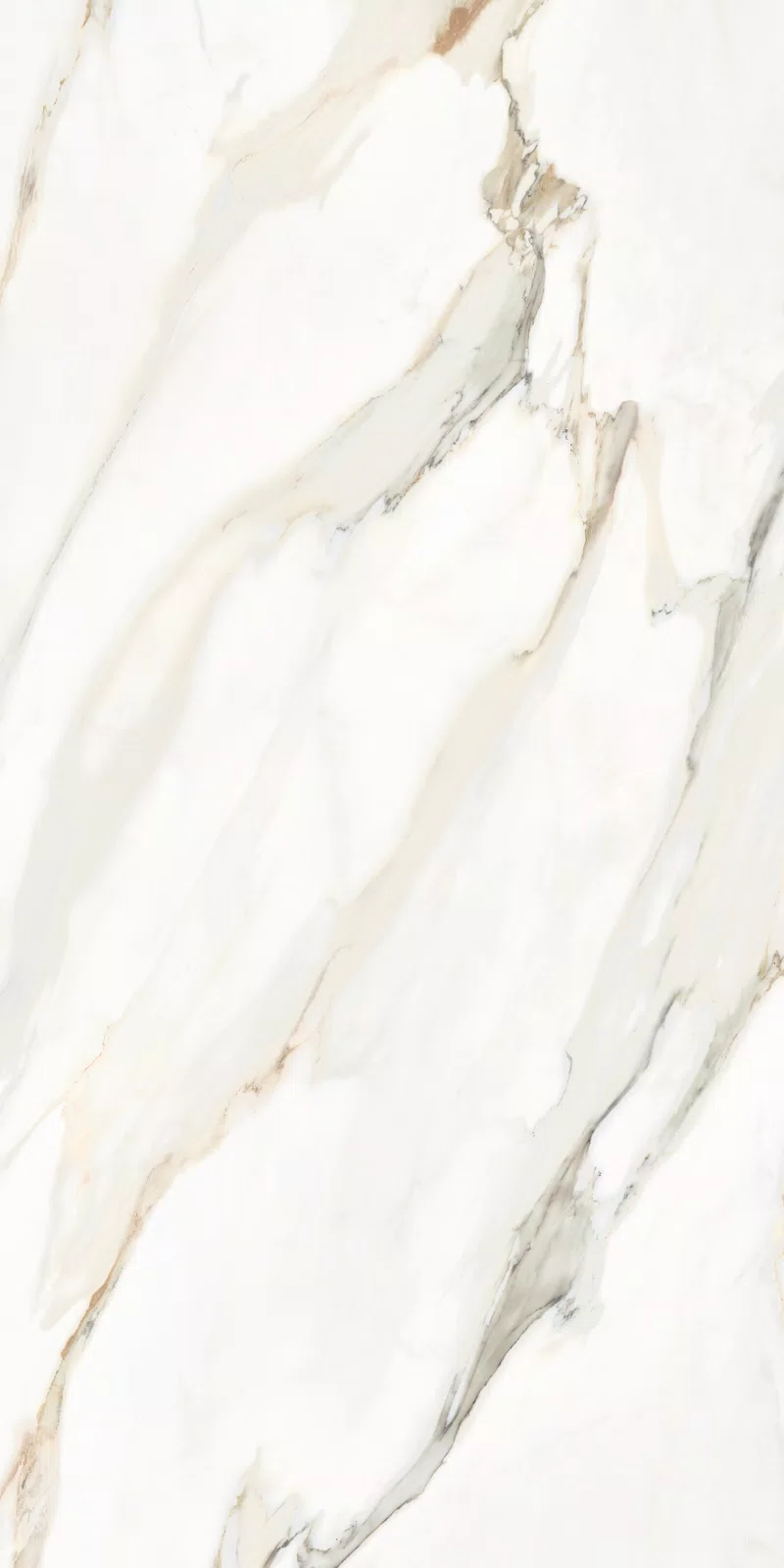 LA MARMOTECA_CALACATTA ELEGANCE_60X120_10